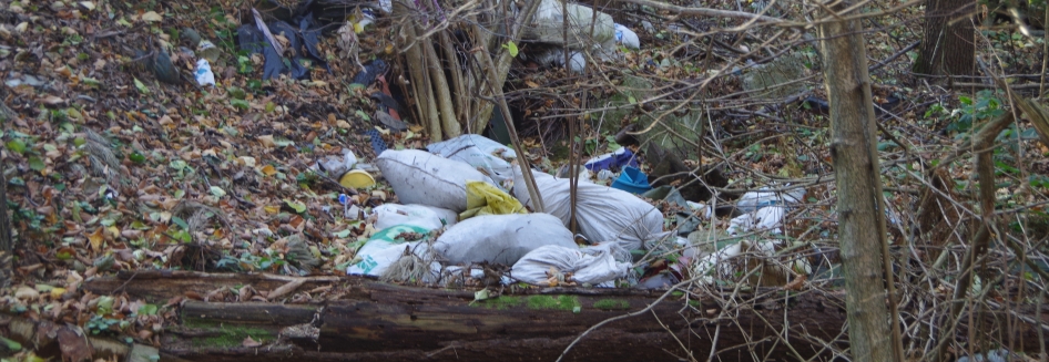Sprzątanie śmieci Albigowa 29 października